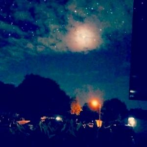 Meet your Posher, Ellie